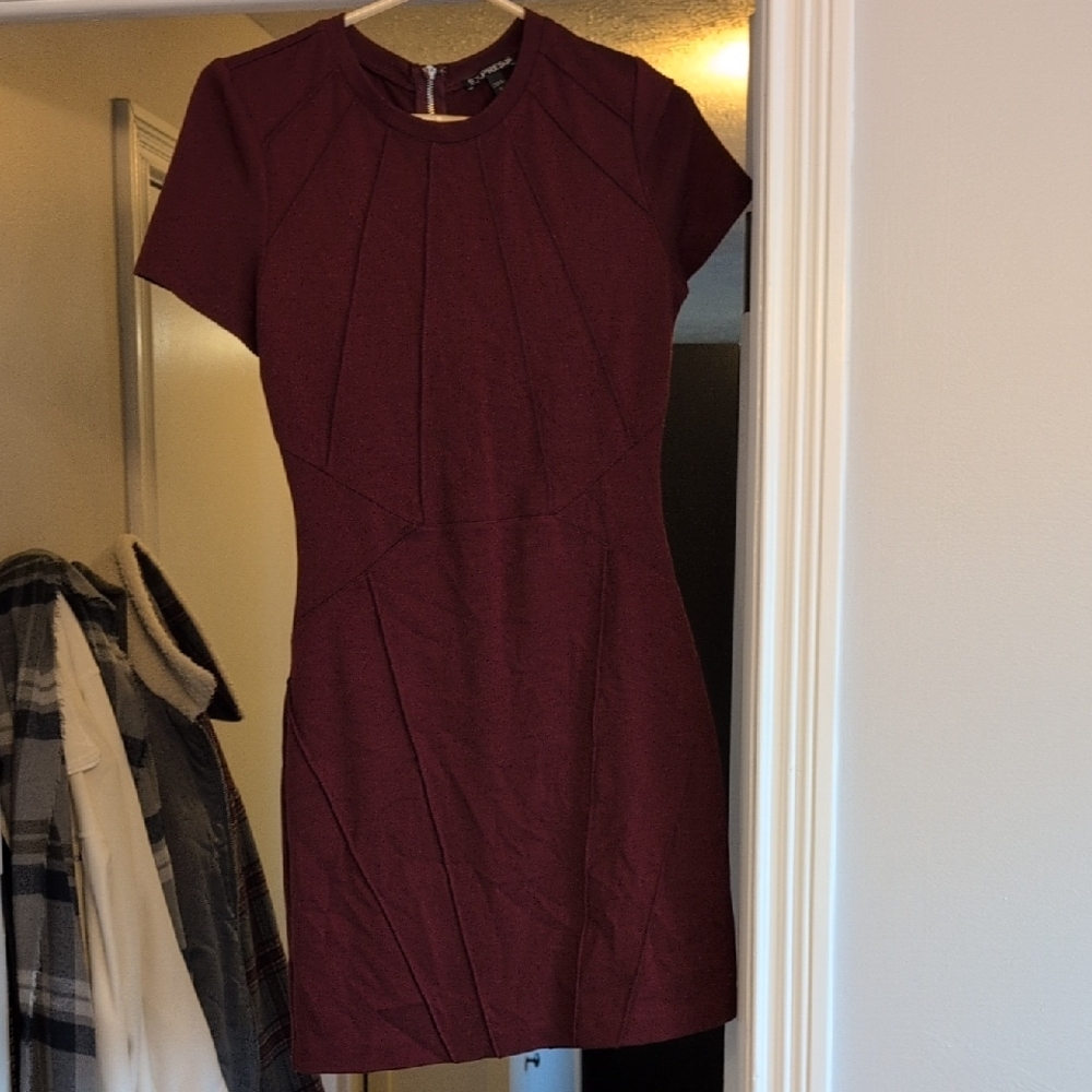 Express Deep Red Mini Dress